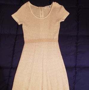 Cream and gold sweaterdress